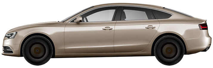 b8--b81-sportback