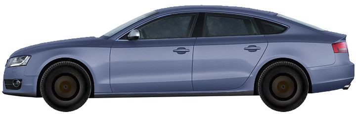 b8--b81-sportback