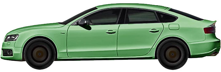 v8--b81-sportback