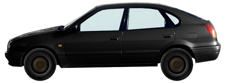 e11-liftback