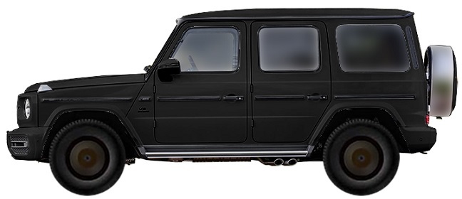  MERCEDES G-Klasse W463A 500 (2018-2025)