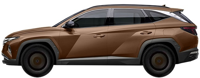 nx4