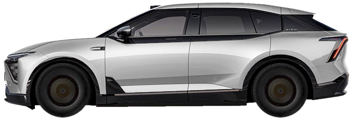  HIPHI Y SUV Electro (2023-2025)