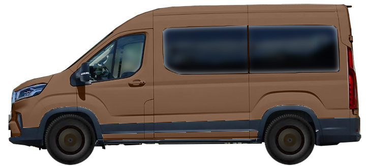 mpv