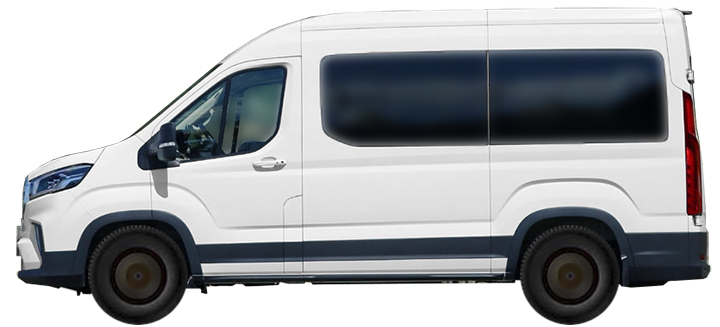 mpv